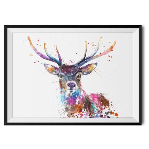 Splatter Rainbow Stag Range by Katherine Williams