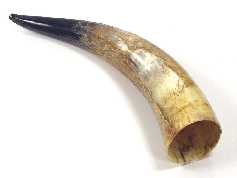 Rough Polished Cow Horn